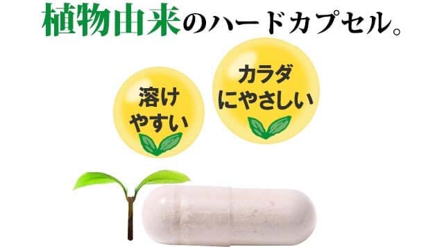 エレスト 植物由来のハードカプセル