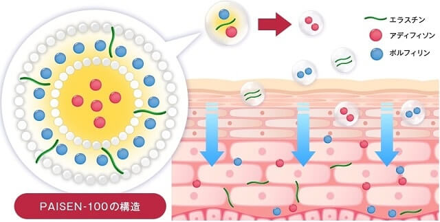 ルーナナチュラルアップクリーム 特殊カプセルでお肌に浸透